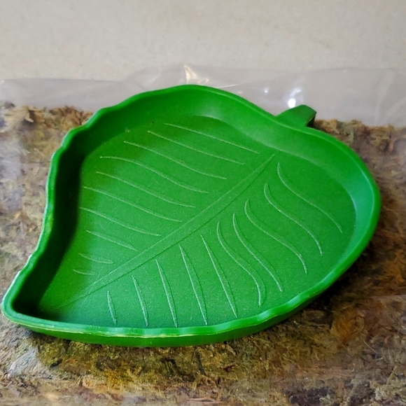 Reptile bundle - Picture 2 of 7